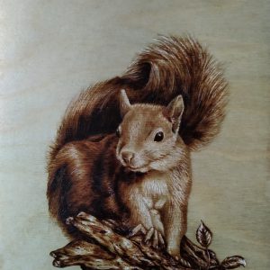 Squirrel – 23x25 cm Plywood