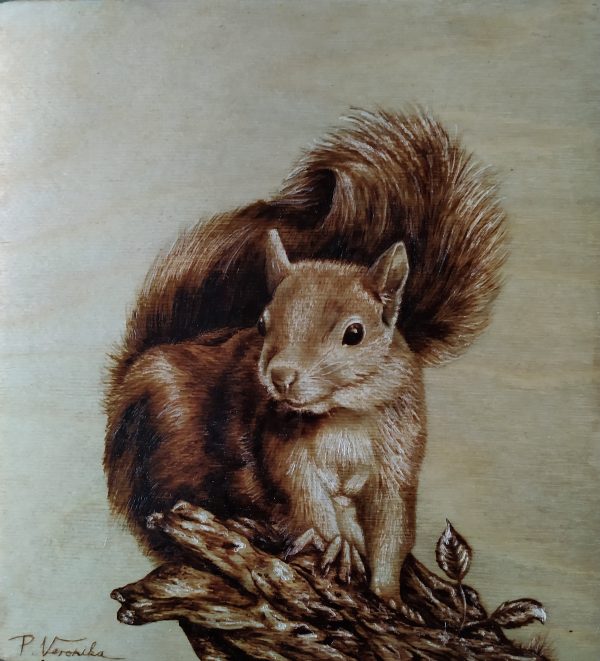 Squirrel – 23x25 cm Plywood